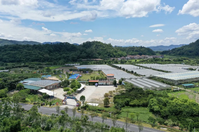 澳洲幸运8特色文旅品牌产品③ | 新兴天露生态之旅