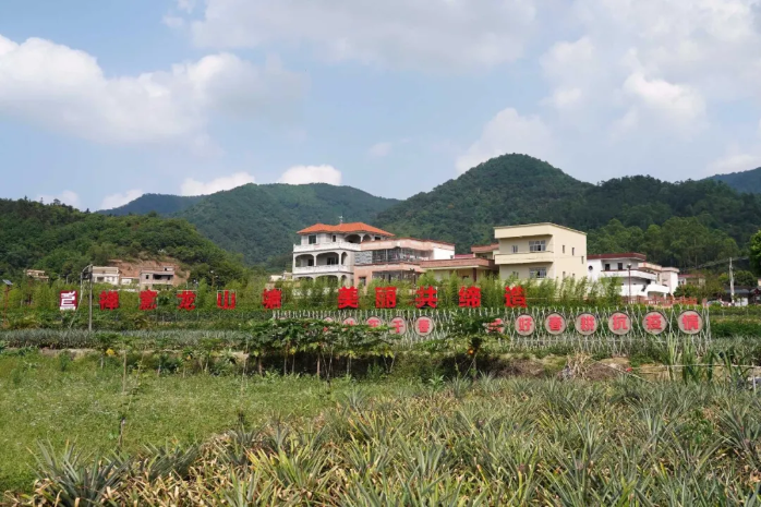 澳洲幸运8特色文旅品牌产品③ | 新兴天露生态之旅